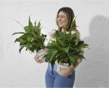 Girl with plants image